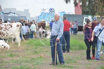 La feria de ganado, atractivo principal de la jornada matutina en Jinámar (Foto Antonio Alí y Francisco Javier Santana)